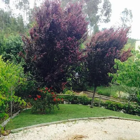 Semesterbostad A Casa Da Lua