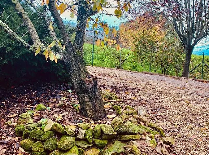 A Casa Da Lua 別荘 トマール